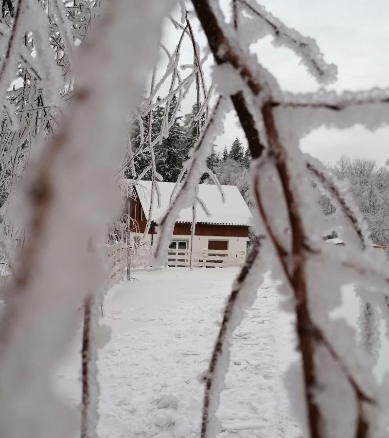Jodlowka Borowice Exteriér fotografie